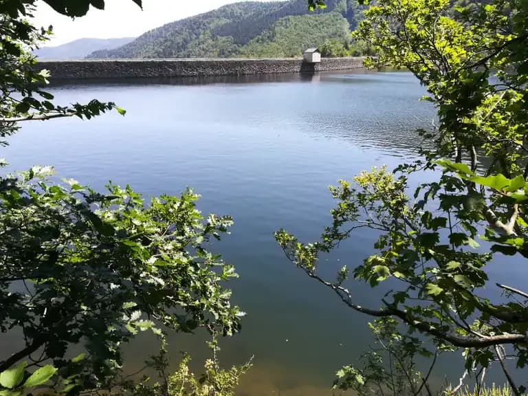 Lac d'Alfeld